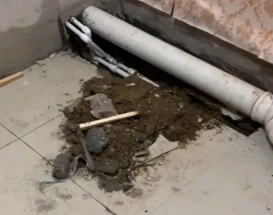 鄂伦春卫生间漏水检测哪家好